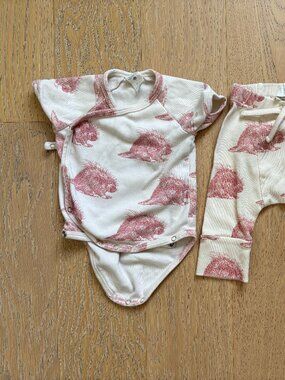 Kate Quinn Hedgehog 0-3 Month Onesie + Pants Set